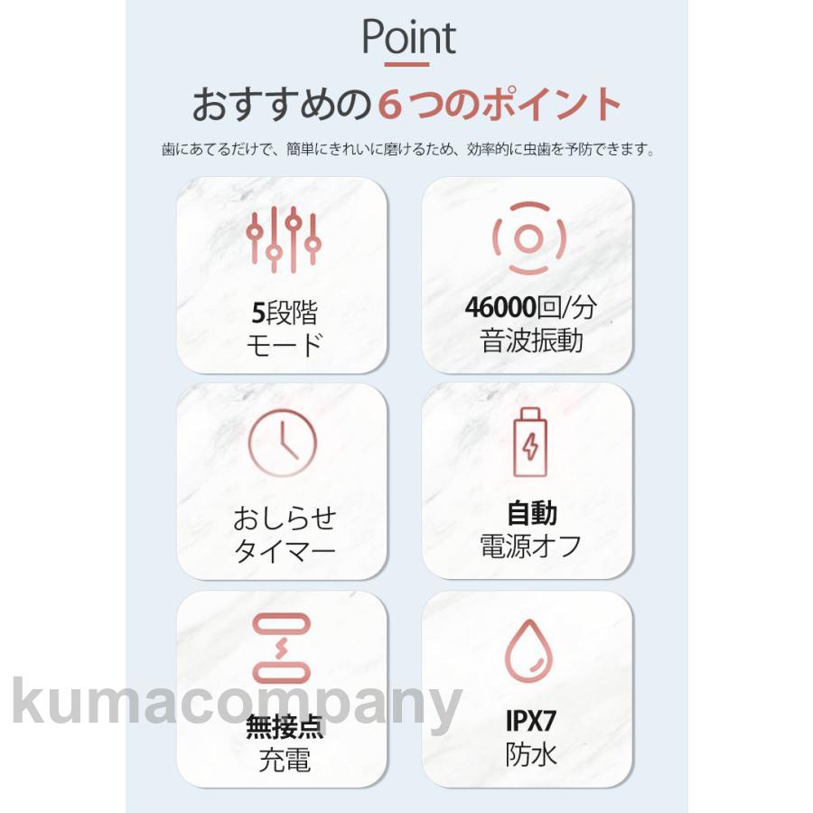 電動歯ブラシ 替えブラシ5本附属 五種類モード 静音設計 IPX7 防水 丸洗い可能 音波 振動 歯垢除去 歯周病予防 充電式スタンド 歯磨き 携帯 歯ブラシ 大人