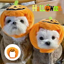 ペット帽子 カボチャ 犬猫用 コスプレ ハロウィン ペット 被り物 ハット 帽子 コスチューム 犬 猫 わんちゃん ねこちゃん アクセサリー 記念日 コスプレ 写真撮影 パーティー コスプレ 変身 おもしろい ドッグウェア