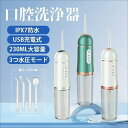 口腔洗浄器 USB充電式 歯磨き 歯間洗浄機 口臭防止 高圧洗浄 歯石取り 携帯型 口腔洗浄機 ジェットウォッシャー 替えノズル プレゼント 口内洗浄機 2024最新型