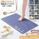 ★選べる14種★ 珪藻土バスマット 60 x 40 cm 80 x 50 cm 珪藻土マット 風呂 バスマット 足ふきマット 速乾 珪藻土 キッチンマット 滑り...
