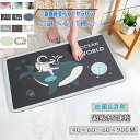 珪藻土バスマット40x60cm~ 60*90cm 大判 サイズ 珪藻土マット 風呂 バスマット 足ふきマット 速乾 珪藻土 キッチンマット 滑り止め 浴室 洗面所 吸水 速乾 抗菌 滑り止め 北欧 脱衣所 吸水マット ソフト 柔らかい