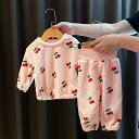 セットアップ 上下セット 子供用パジャマ パジャマ ルームウェア 子供服 子供 キッズ ベビー 男の子 女の子 寝巻き 寝間着 ナイトウェア 長袖 長ズボン ハ...