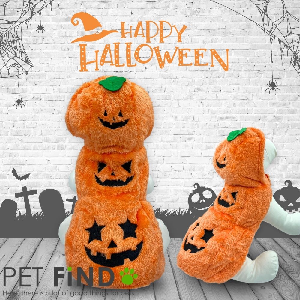 犬 服 冬 秋冬 ハロウィン コスチューム かぼちゃ カボチャ パンプキン 犬 ハロウィン 猫 ハロウィン 小型犬 仮装 イベント ハロウィーン Halloween マジックテープ ドッグウェア 犬の服 ペット服 犬服