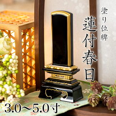 https://thumbnail.image.rakuten.co.jp/@0_mall/kumada/cabinet/thumnail1/10002422.jpg