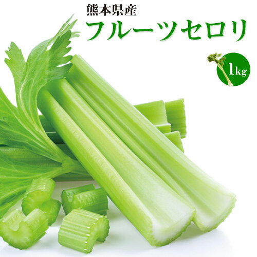 セロリ フルーツセロリ 送料無料 1kg 清正農園 せろり 野菜 ヘルシー 清正人参