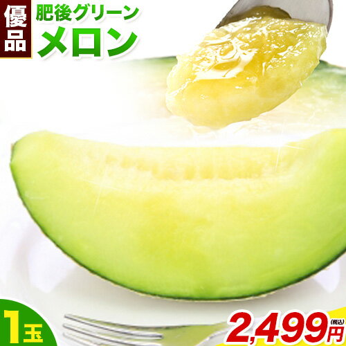 メロン 送料無料 訳あり ご自宅用 肥後グリーン 熊本県産ブランドメロン 1玉 約1.6~2kgのサムネイル