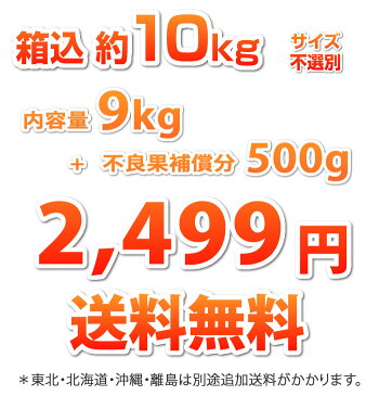 河内晩柑 送料無料 訳あり 10kg 箱込 内容量9kg+補償分500g ジューシーオレンジ 和製グレープフルーツ みかん ミカン 蜜柑