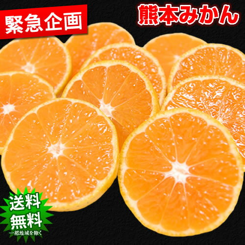 みかん 約10kg 送料無料 訳あり箱込10kg 内容量9kg＋補償分500g 早生 温州 熊本みかん 蜜柑 ミカン熊本県産 蜜柑 ミカン 柑橘 フルーツ 【10月中旬より順次出荷開始】のサムネイル