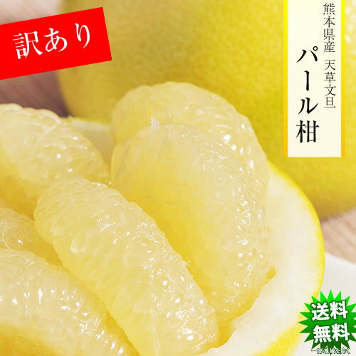 パール柑 みかん 5kg 送料無料 訳あり 熊本県産 蜜柑 ミカン 柑橘 フルーツのサムネイル