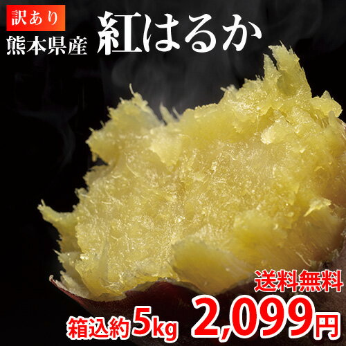 紅はるか 訳あり 5kg 箱込 内容量4kg+補償分500g 送料無料 生芋 さつまいも 熊本県産 べにはるか サツマイモ 焼き芋に 芋 いものサムネイル