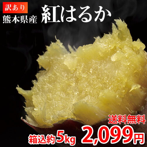 紅はるか 訳あり 5kg 箱込 内容量4kg+補償分500g 送料無料 生芋 さつまいも 熊本県産 べにはるか サツマイモ 焼き芋に 芋 いも