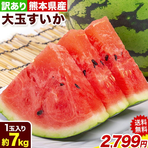 スイカ 送料無料 すいか 大玉スイカ お取り寄せ 熊本県産 ご自宅用 訳あり 西瓜 1玉 約7kg以上 ご自宅用のため御中元の熨斗は対応できませんのサムネイル