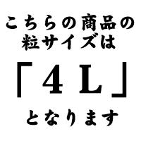 キャンペーン >2019年 4月キャンペーン キャンペーン >2019年 4月キャンペーン