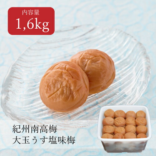 【送料無料】御歳暮 ギフト 大玉うす塩味梅 はちみつ入り 塩分8% 1.6kg 贈答品 贈り物 帰省土産 お土産 内祝 夏ギフト お取り寄せ プレゼント 手土産 期間限定のサムネイル