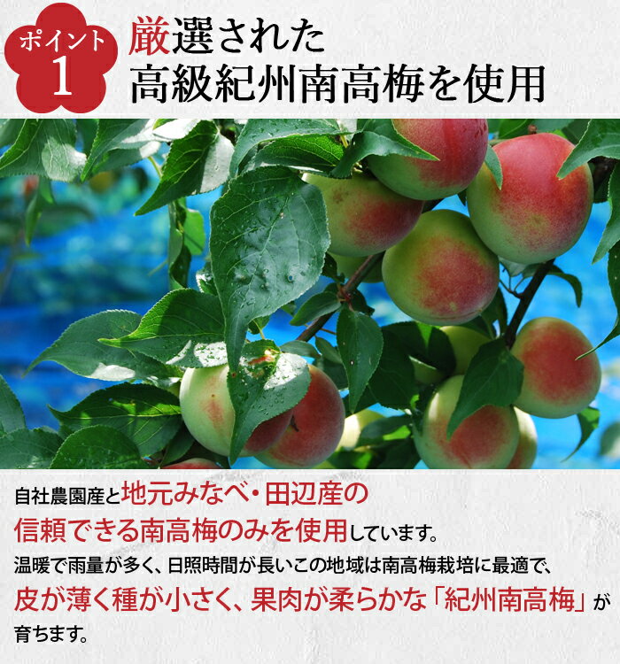 【送料無料】うす塩味梅 はちみつ入り 塩分8% 550g