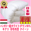 羽毛布団 クイーン 【210×210cm】 掛け布団 日本製 送料無料 ハンガリー産 ホワイトダックダウン90% 羽毛掛け布団 無地 ( エクセルゴールドラベル 国産 羽毛ふとん 羽毛ぶとん 掛布団 羽毛掛布団 羽毛掛け 羽毛掛ふとん 羽毛掛けふとん 羽根布団 羽毛 布団 ) 02P01Oct16