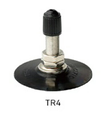 ��IRC���塼�� 25933B 2.50-10 2.75-10 TR-4