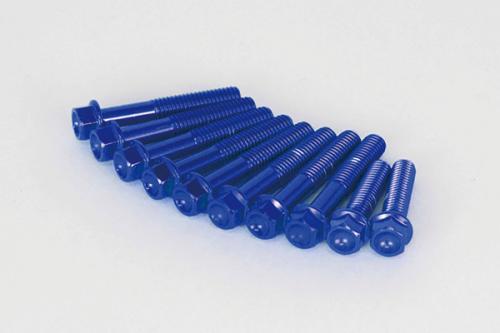 ☆ 【メール便送料無料・代引不可】武川 TAKEGAWA 06-11-0028 Lクランクケースカバーアルテックボルト(ブルー/フランジ) モンキー125(JB02)・C125