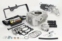 武川 TAKEGAWA 01-05-5481 ハイパーSステージN-20ボアアップキット138cc ビッグスロットルボディー Z125 PRO