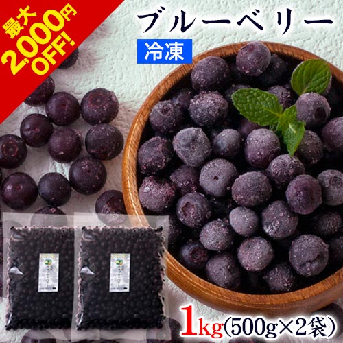 【最大2000円OFF】冷凍ブルーベリー 九州産 冷凍 ブルーベリー 1kg 500g 2袋 送料無料 サイズ不選別 フルーツ 果物 取り寄せ 通販 《7-14営業日以内に出荷予定 土日祝日除く 》