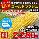 【日本最速級出荷のトウモロコシ】ゴールドラッシュ送料無料★《...