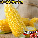 メロン並みの甘さ 生で食べられる 熊本県産 とうもろこし ゴ...