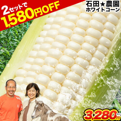 むそう オーガニックカーネルコーン 250g 10袋 冷凍野菜