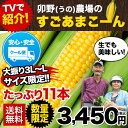 ★超人気TV番組で話題★フルーツ並みの甘さ！ 卯野農場のすご...