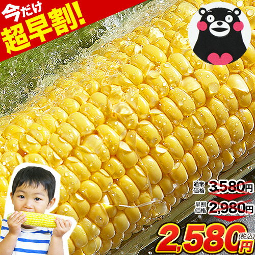  lグԋ 5 6܂ i  Ƃ낱   {őo XC[gR[ S[hbV Tj[VR  b ܂[ K  2.1kg`2.8kg 7{ (3L~L TCY) ̂ BY    6{`7{蔭\ 