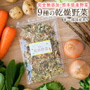 乾燥野菜 9種 国産野菜 ミックス 国産 無添加 熊本県産 100g みそ汁の具 フリーズドライ 野菜セット スープ 味噌汁 インスタント やさい 野菜 健康 ブドウ糖不使用 保存食 《7-14営業日以内に発送予定(土日祝日除く)》|