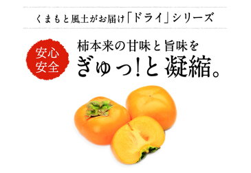 【送料無料】国産ドライ富有柿120g《3-7営業日以内に出荷予定(土日祝日除く)》