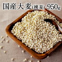 国産大麦 (裸麦) はだか麦 はだかむぎ 裸麦(国産)たっぷり950g 送料無料★今話題の食物繊維ベータグルカンも含有《3〜7営業日以内に出荷(土日祝除く)》