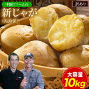 【大容量10kg★販売解禁】中園ファームのじゃがいも 新じゃが (馬鈴薯) 訳あり たっぷり 10kg (S～3Lサイズ混合) 送料無料 種子島産 ジャガイモ 芋 野菜 お取り寄せ お取り寄せグルメ《1-5営業日以内に出荷予定(土日祝日除く)》