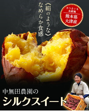 【訳あり】熊本県産 シルクスイート 1kg 送料無料 さつまいも(サイズ大中小不揃い)【2セットで1セット分★3セットなら+2セット増量】※複数購入の際は1箱におまとめ配送《12月中旬-12月末頃より順次出荷》