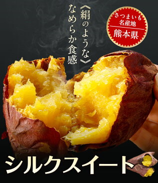 シルクスイート 1kg 送料無料 【訳あり】 熊本県産 さつまいも (サイズ大中小不揃い)【2セットで1セット分★3セットなら+2セット増量】※複数購入の際は1箱におまとめ配送 【sfd19_dg】《7-14営業日以内に出荷予定(土日祝日除く)》