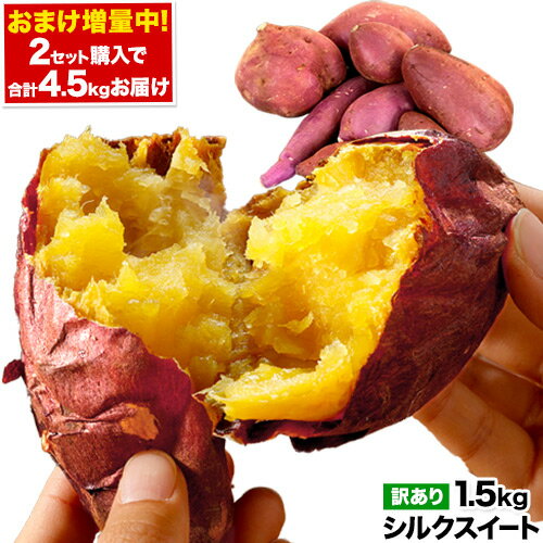 【6/22 20時から★開始6時間限定20％OF