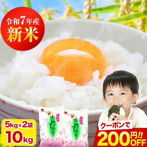 ＼先着限定★200円OFFクーポン使える！／新米 令和7年産 キヌヒカリ 精米 白米 10kg お米 送料無料 単一原料米 単一米 米 コメ 精米 《配送予定に記載の日程でお届け》