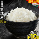 新米 10kg キヌヒカリ 滋賀県産 特別栽培米 令和4年産 送料無料お米 分つき精米 玄米