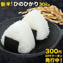 【クーポンで300円OFF】新米 30kg 令和元年産 ひのひかり 玄米30kg 精米27kg 送料無料 熊本県産★安心・安全 熊本 の お米 米 玄米 楽天最安値 に 挑戦【1002】《7-14営業日以内に出荷予定(土日祝日除く)》