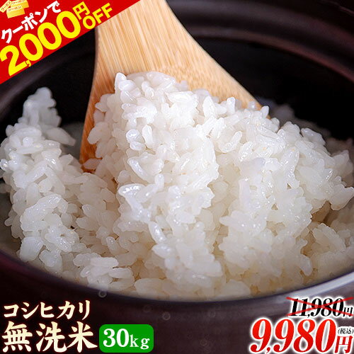 【先着クーポンで2000円OFF】こしひかり 無洗米 30kg (5kg×6袋) 送料無料 熊本県産 ★安心・安全 熊本 の お米 コシヒカリ 《1-5営業日以内に出荷予定(土日祝日除く)》