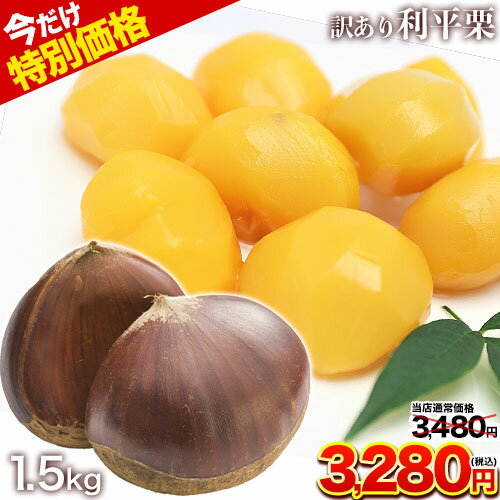 sakaki様専用出品】熊本県産栗Lサイズ1.5Kg以上 6ekcnNfYUP
