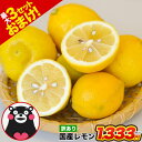 国産 レモン 訳あり 1.5kg 送料無料 【最大4.5kgおまけ増量】熊本県産 リスボンレモン グラントレモン サイズ不選別 フルーツ 檸檬 レモン水 レモンピール 《1-5営業日以内に出荷予定(土日祝日除く)》