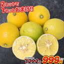 【今だけ1222円⇒999円】訳あり レモン 1.5kg 送料無料 熊本県産 (約5玉-15玉前後) 2セット購入で1セット分おまけ、3セット購入で2セット分おまけ※/サイズ不選別/複数セットの場合1箱にまとめて配送《3-10営業日以内に出荷予定(土日祝日除く)》