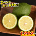 熊本県産 国産レモン 1.5kg 訳あり 送料無料 (約5玉...