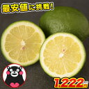 最安値に挑戦 熊本県産 国産レモン 1.5kg 訳あり 送料...