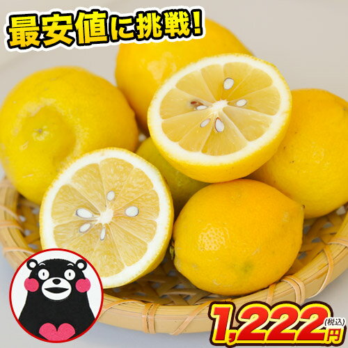国産 レモン 1.5kg 訳あり 送料無料 熊本県産 2セッ...