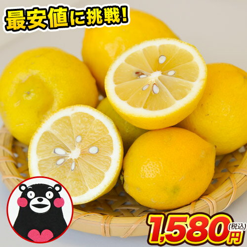 国産 レモン 訳あり 1.5kg 送料無料 【最大4.5kgおまけ増量】熊本県産 リスボンレモン グラントレモン サイズ不選別 フルーツ 檸檬 レモン水 レモンピール セール 《1-5営業日以内に出荷予定(土日祝除く)》