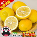 国産 レモン 訳あり 1.5kg【最大500円クーポン×増量】 送料無料 熊本県産 2セット購入で1.5kgおまけ3セット購入で3kgおまけ サイズ不選別 家庭用 訳ありレモン 檸檬 果汁たっぷり《7-14営業日以内に出荷(土日祝除く)》