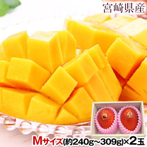 マンゴー 宮崎県産 完熟マンゴー マンゴー 2玉 化粧箱入り (Mサイズ:約240g〜約309g) 送料無料 父の日 健康 ギフト プレゼント フルーツ 食べ物 贈答 旬 の 果物 贈答用 《6月下旬-7月上旬頃より発送予定》