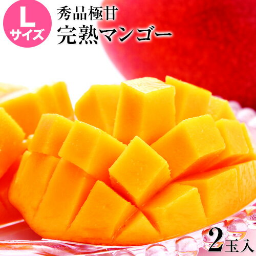 マンゴー 宮崎県産 完熟マンゴー マンゴー 2玉 化粧箱入り (Lサイズ:約310g〜約349g) 送料無料 父の日 健康 ギフト プレゼント フルーツ 食べ物 贈答 スイーツ お取り寄せ お取り寄せグルメ 《6月下旬-7月上旬頃より発送予定》